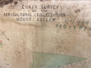 Chain Survey - Agricultural College & Farm, Mountbellew, Co. Galway. June 1907