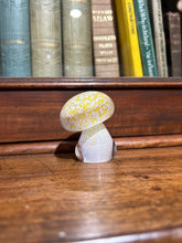 Mouth-Blown Art Glass Mushroom Paper Weight.